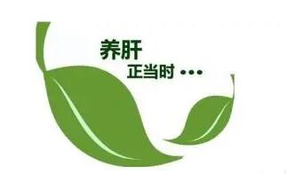 愛(ài)肝護(hù)肝怎樣保肝護(hù)肝